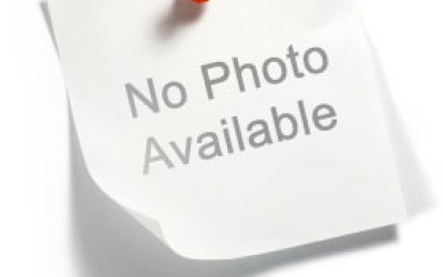 BÁO CÁO khảo sát tình hình việc làm của sinh viên tốt nghiệp năm 2024